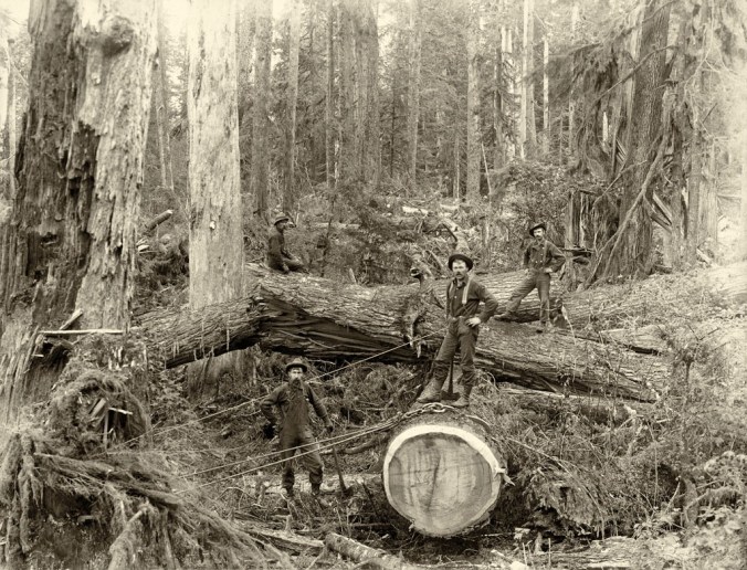 Large print on card backing. JEK.