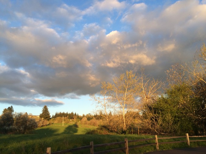 705422C9-E923-4213-9148-206709388607