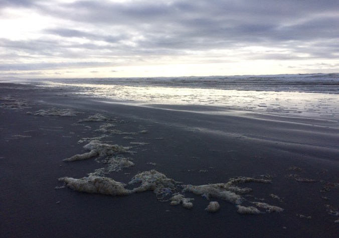 54AF9EAA-65E1-46F0-8B3C-279CD6AFE5BF